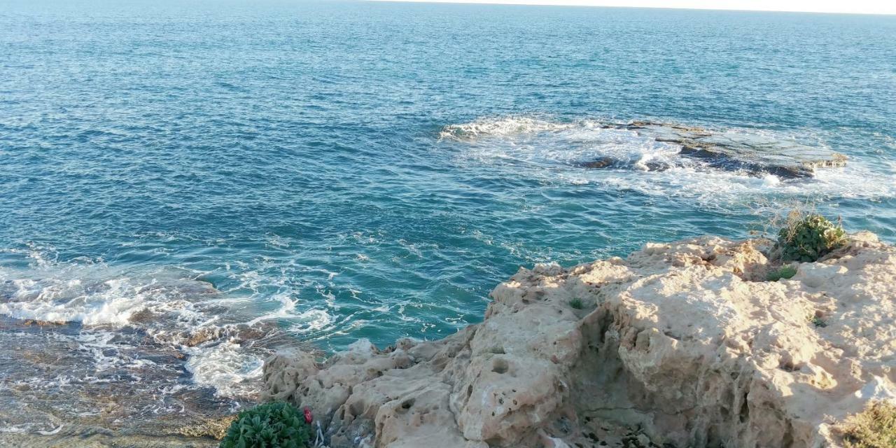 Estudio Jardin Del Mar تورّيفيِخا المظهر الخارجي الصورة